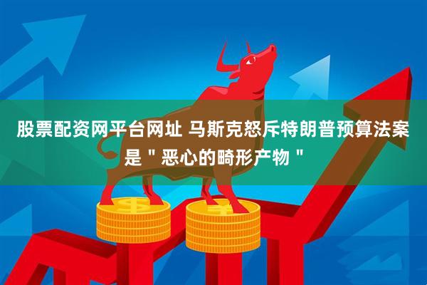 股票配资网平台网址 马斯克怒斥特朗普预算法案是＂恶心的畸形产物＂