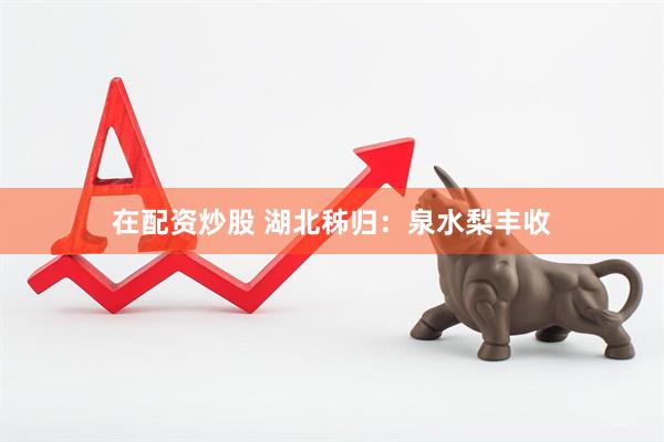 在配资炒股 湖北秭归：泉水梨丰收