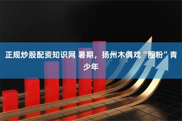 正规炒股配资知识网 暑期，扬州木偶戏“圈粉”青少年